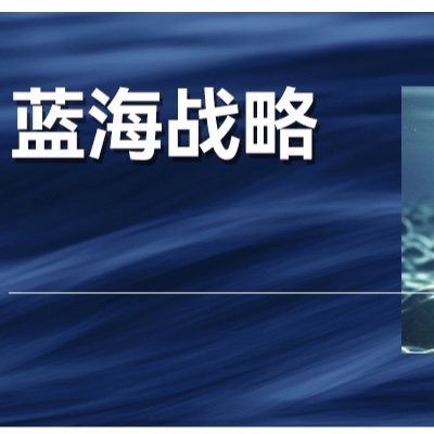 从“蓝海战略”浅析华为和苹果的手机竞争战略