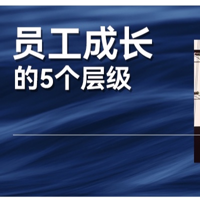 从董明珠直播训斥下属中，来聊一聊团队和员工成长的5个层级