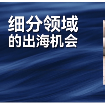 细分领域的出海：国产扫地机器人，凭什么称霸全球？