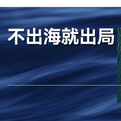 年度盘点：从走出去到走进去，中国出海之路