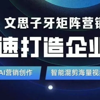 文思子牙矩阵营销AI系统：引领企业短视频营销新篇章